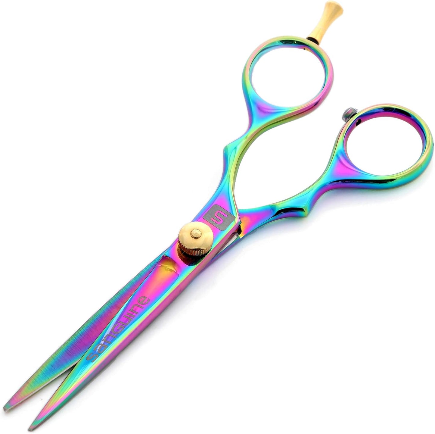 Professional Hair Cutting Scissors, Hairdressing Scissors, Ultra-Sharp Japanese Convex Blades, Titanium Coated - 5.5 Inch, Includes Case